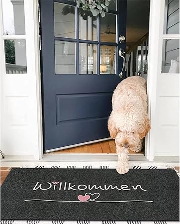 Anti-Slip Door Mat14498(SA2405-31C) - Image 3