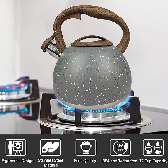 Stainless Steel One Touch Button Whistle Teapot with Anti Scalding Handle-Grey Texture - Image 9